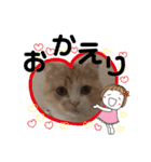 めたんこ猫好き、はるたん！（個別スタンプ：13）