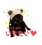 黒ネコまーちゃん（個別スタンプ：2）