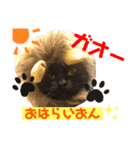 黒ネコまーちゃん（個別スタンプ：7）