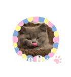 るいからの一言（個別スタンプ：1）