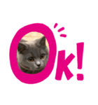 るいからの一言（個別スタンプ：3）