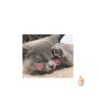 るいからの一言（個別スタンプ：5）