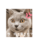るいからの一言（個別スタンプ：6）