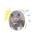 るいからの一言（個別スタンプ：7）