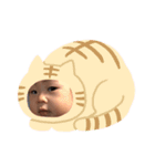 ひぃーにゃん（個別スタンプ：4）