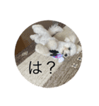 だいちゃん スタンプ 1（個別スタンプ：9）