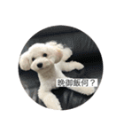だいちゃん スタンプ 1（個別スタンプ：11）