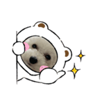 だいちゃん スタンプ 1（個別スタンプ：22）