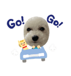 だいちゃん スタンプ 1（個別スタンプ：37）