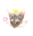 さくにゃんの日（個別スタンプ：2）