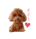 ココスタ❤️（個別スタンプ：1）
