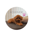 ココスタ❤️（個別スタンプ：2）