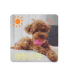 ココスタ❤️（個別スタンプ：4）