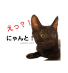 KIKI”toHABAtoNONOnoHIBI（個別スタンプ：1）