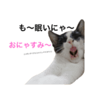 KIKI”toHABAtoNONOnoHIBI（個別スタンプ：2）