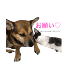 KIKI”toHABAtoNONOnoHIBI（個別スタンプ：6）