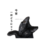 KIKI”toHABAtoNONOnoHIBI（個別スタンプ：15）