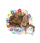 3ニャンズ・その2（個別スタンプ：5）