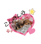 きょんママ一家 2（個別スタンプ：12）