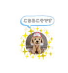 きょんママ一家 2（個別スタンプ：14）