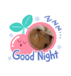 ふーちゃん激かわスタンプ（個別スタンプ：3）
