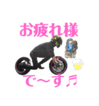 yassuプライベート第3弾（個別スタンプ：15）