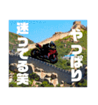 yassuプライベート第3弾（個別スタンプ：29）