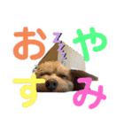 yassuプライベート第3弾（個別スタンプ：32）