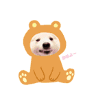 日本スピッツ☆ぱるたん☆（個別スタンプ：10）