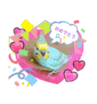 セキセイインコのニイコちゃんセット（個別スタンプ：31）