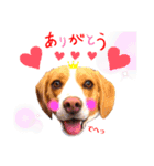 ぽん太♡亮太スタンプ（個別スタンプ：5）