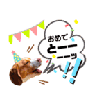 ぽん太♡亮太スタンプ（個別スタンプ：12）
