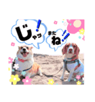 ぽん太♡亮太スタンプ（個別スタンプ：14）