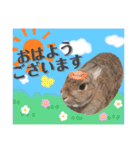 あずきさんの一日（個別スタンプ：2）