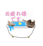 あずきさんの一日（個別スタンプ：4）