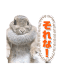 あずきさんの一日（個別スタンプ：6）