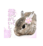 あずきさんの一日（個別スタンプ：18）