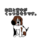 ビーグル犬(チオとパティーとモコと...)（個別スタンプ：14）