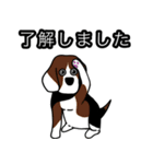 ビーグル犬(チオとパティーとモコと...)（個別スタンプ：16）