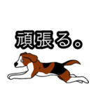 ビーグル犬(チオとパティーとモコと...)（個別スタンプ：22）