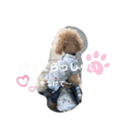 モカ＆くぅ夏version（個別スタンプ：2）