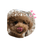 モカ＆くぅ夏version（個別スタンプ：3）