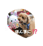 モカ＆くぅ夏version（個別スタンプ：7）