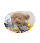 モカ＆くぅ夏version（個別スタンプ：8）