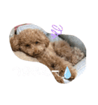 モカ＆くぅ夏version（個別スタンプ：9）