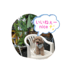 モカ＆くぅ夏version（個別スタンプ：10）