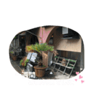 モカ＆くぅ夏version（個別スタンプ：13）