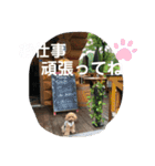 モカ＆くぅ夏version（個別スタンプ：14）