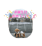 モカ＆くぅ夏version（個別スタンプ：19）