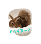 モカ＆くぅ夏version（個別スタンプ：21）